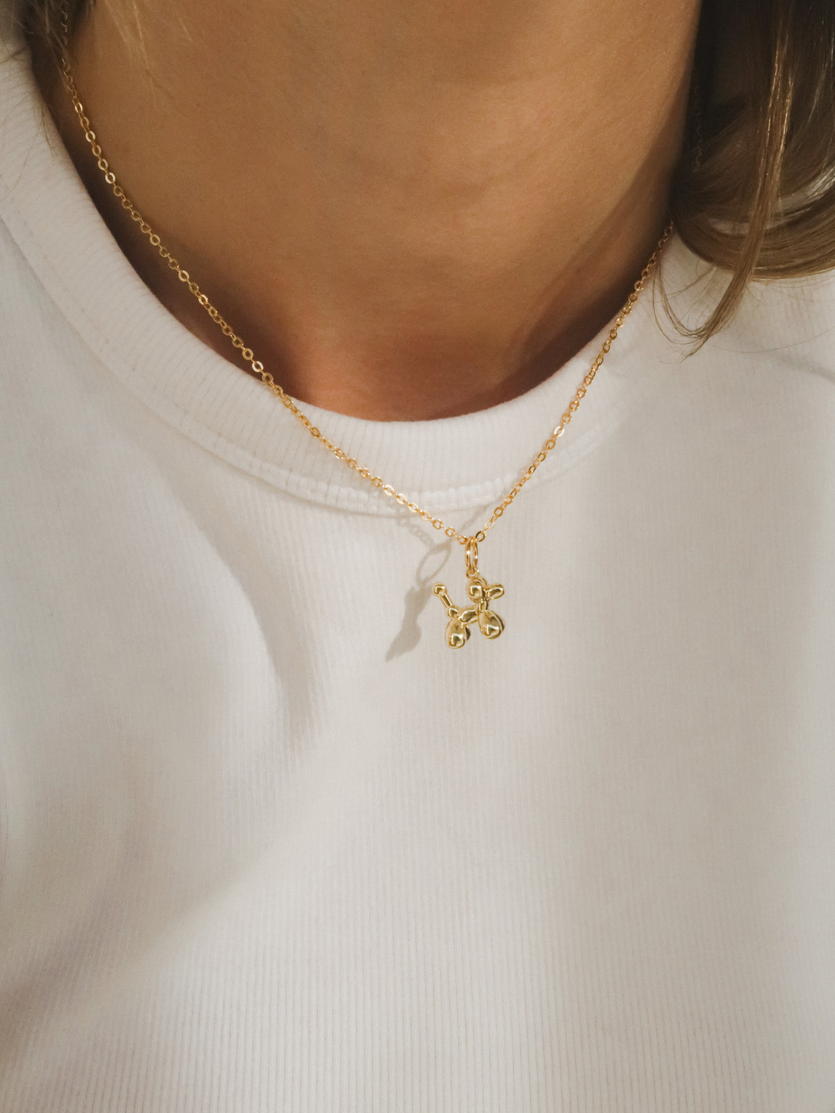 Hondje charm
