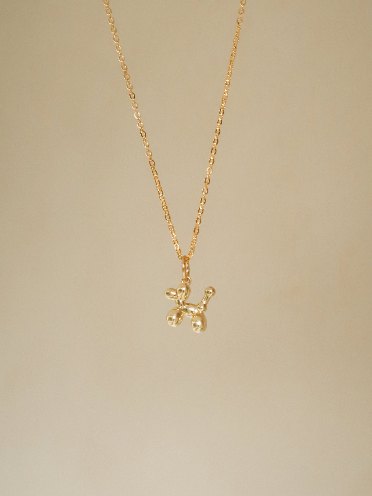 Hondje charm